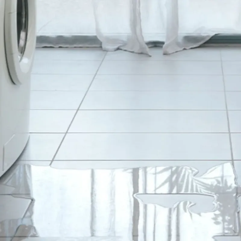 Appliance Leak Cleanup in Belding, MI