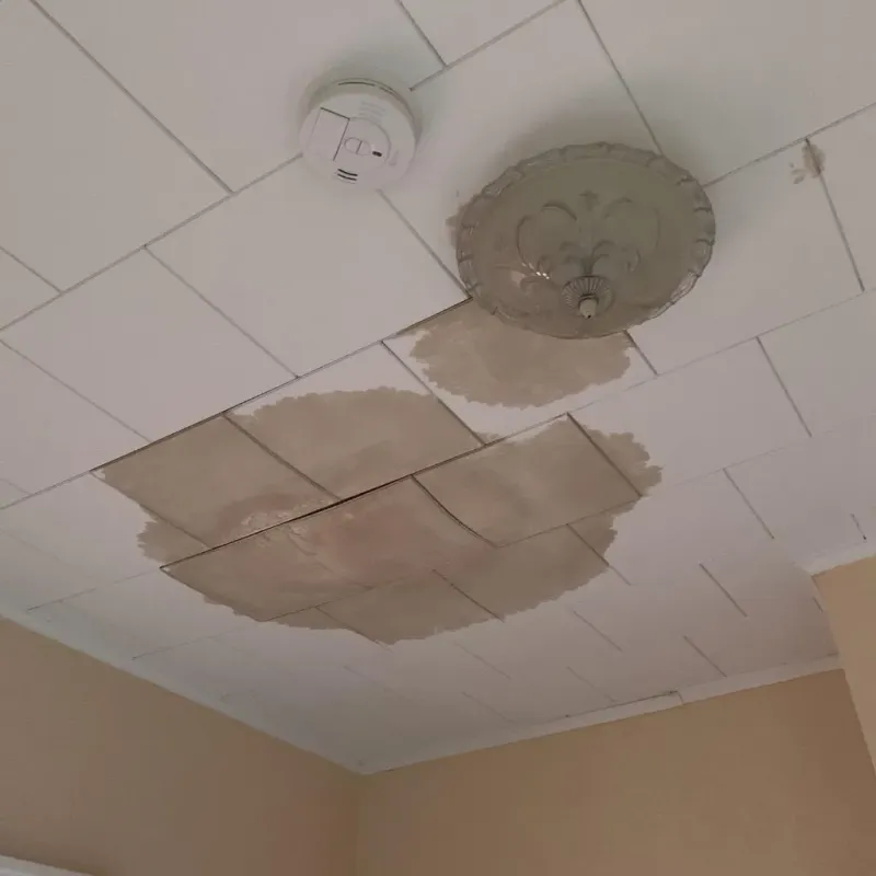 Ceiling Water Damage Repair in Belding, MI