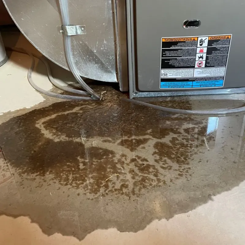 Pipe Burst and Leak Restoration in Belding, MI